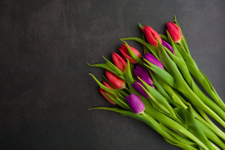 Fresh colorful tulip flowers on dark stone table. Top view with copy spaceの写真素材