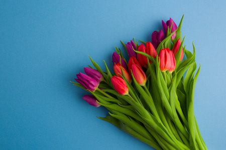 Bouquet of tulips on a blue background. Top view.の写真素材