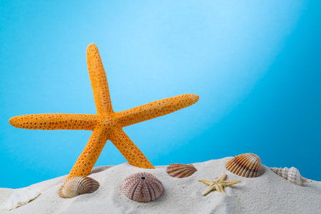 summer background. seashells border on sand, summer abstractの写真素材