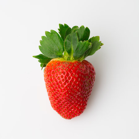 Red berry one strawberry isolated on white backgroundの写真素材