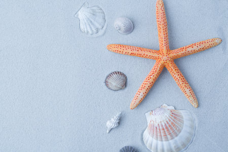 Starfish in the sand. Light brown, cream and blue. abstractの写真素材