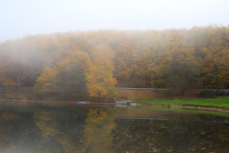 Beautiful scenic view of lake and forest with misty morningの写真素材