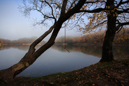 Beautiful scenic view of lake and forest with misty morningの写真素材