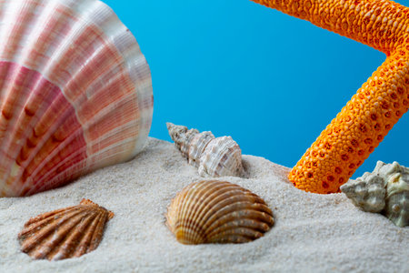 Starfish on the Beachの写真素材