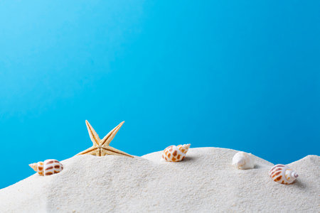Starfish on the Beachの写真素材