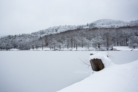 Trees in the snow. Winter landscape. Geopark in Europe. Frozen lake.の写真素材