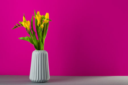 bouquet of yellow tulips in a vase on pink background, spring flowers for women, copy spaceの写真素材