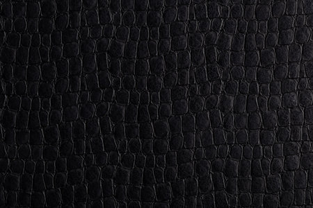 Black snake skin texture pattern can see the surface details use for background