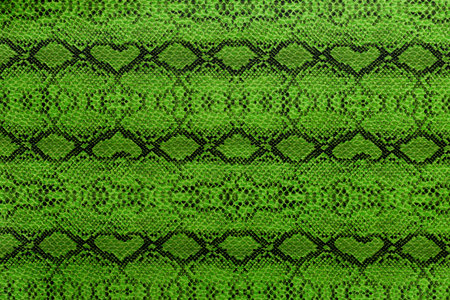 The close-up view displays a green snake skin pattern with various shapes, lines, and textures. The...