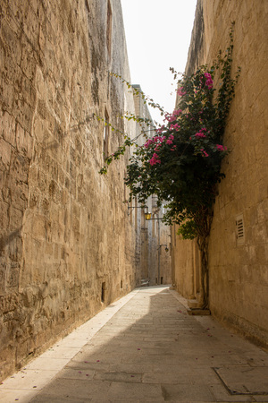 MDINA, MALTA - AUGUST 06, 2018: streets and alleys in the citadel of Medina, Malta in a summer day.のeditorial素材
