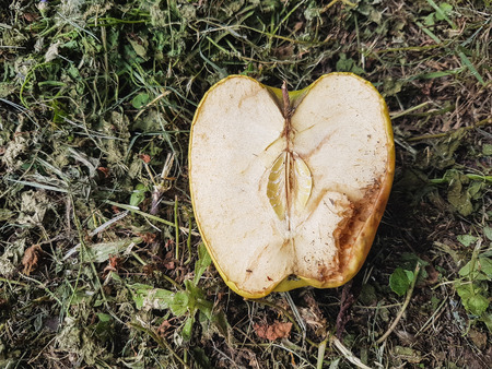 An apple.