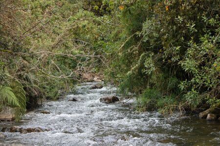 Amazing river in the nature in Ecuadorのeditorial素材