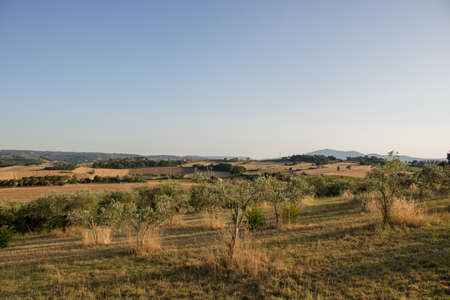 Fantastic view of the countryside of Umbria, Italy.の写真素材