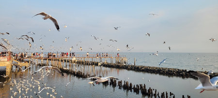 Samut Sakhon, Thailand - December 28th, 2025: A large flock of seagulls flying around tourists on...