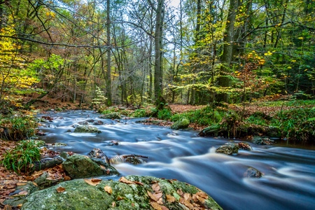 Vallee de la Hoegneの写真素材