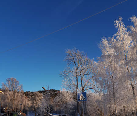 View of the ski jump through snowy treesの写真素材