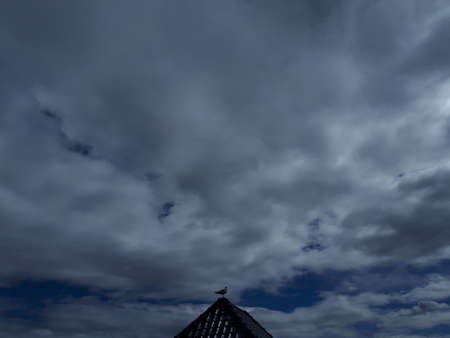 White seagull on the roof against the skyの写真素材