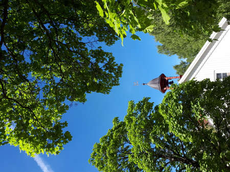 The bell on the tower surrounded by green treesの写真素材