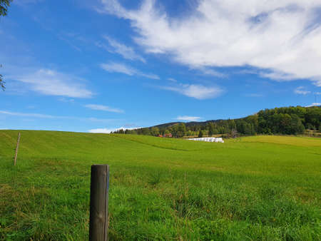 landscape with blue sky and green meadow - Bogstad GÃ¥rd