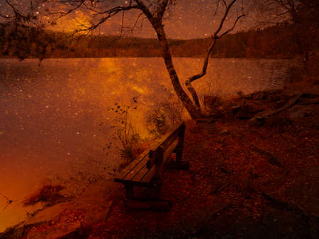 old wooden bench by the lake - Sognsvannの写真素材