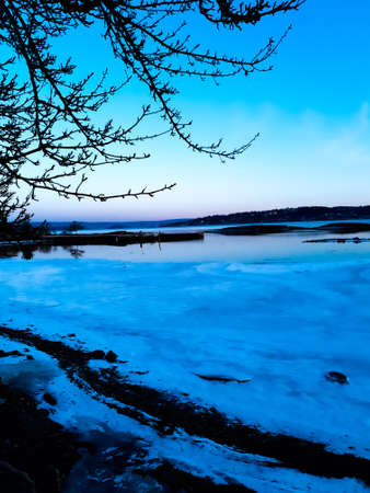 tree branches against the sky and water - Fornebuの写真素材