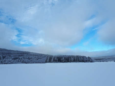 winter landscape with snow-covered trees - Bogstad GÃ¥rdの写真素材