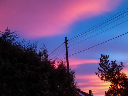 trees on sunset background - Lilleakerの写真素材