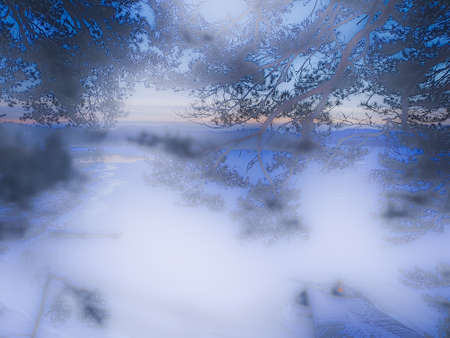tree branches against the hazy sky - Fornebuの写真素材