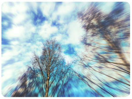 tree against the blue sky - Hamar