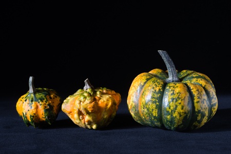 Artistic composition with pumpkins for halloween on a black backgroundの写真素材