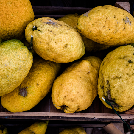 Beautiful background of giant cedars, coming from organic cultivation. Flatlay viewの写真素材