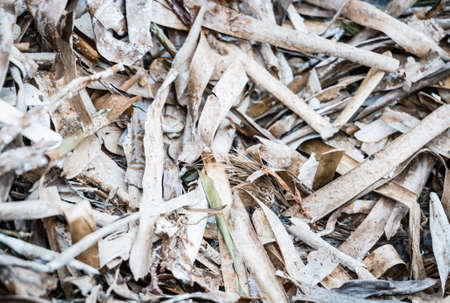 Abstract background. Black and white texture. Image with grayscale effects with various shades.の写真素材