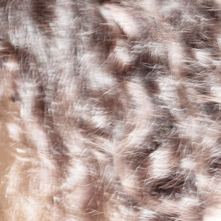 Abstract background. Black and white texture. Image with grayscale effects with various shades.の写真素材