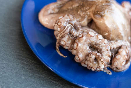 Close up of a giant octopus, in a blue plate, on a slate table. Tasty food from italian cuisine and mediterranean sea. Concept for a tasty and healthy meal. Horizontal view.の写真素材