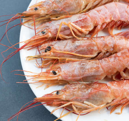 Close up of five giant prawns, in a white plate, on a slate table. Tasty food from italian cuisine and mediterranean sea. Concept for a tasty and healthy meal. Square view.の写真素材