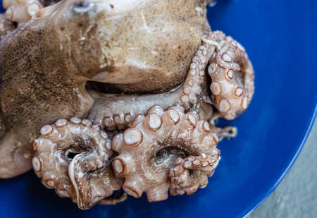 Close up of a giant octopus, in a blue plate, on a slate table. Tasty food from italian cuisine and mediterranean sea. Concept for a tasty and healthy meal. Horizontal view.の写真素材