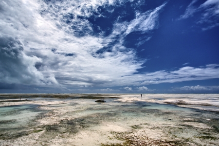 The beautiful beaches of Zanzibarの写真素材