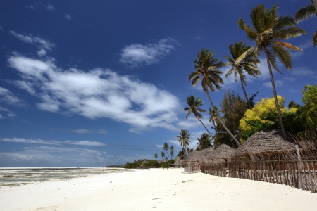 The beautiful beaches of Zanzibarの写真素材