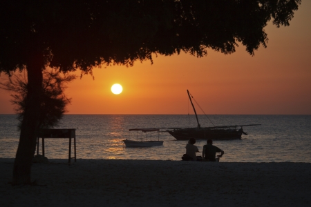 The beautiful beaches of Zanzibarの写真素材