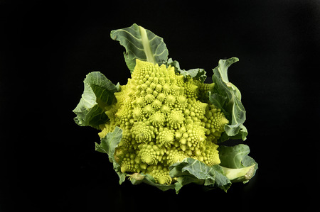 a Roman cabbage on a black backgroundの写真素材