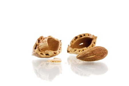 almonds on whiteの写真素材