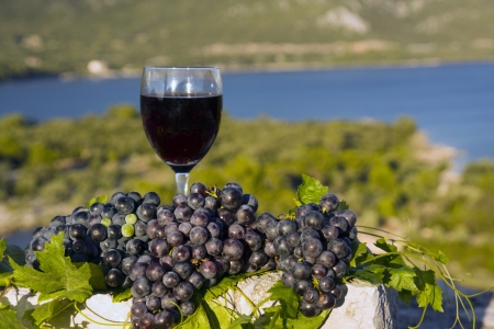 Glass of wine and grapes on stoneの写真素材