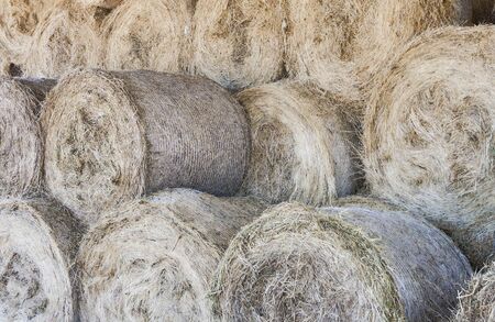 Lots of Bales of straw stacker for later feeding the cattle.の写真素材