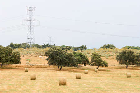 Hay bale drying in the field at harvest time.