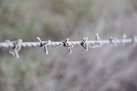 A barbed wire fence frozen by the harsh winter.