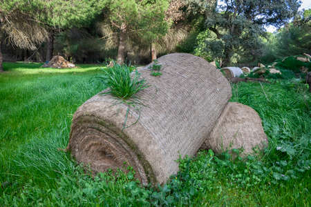 Roll of sod-instant grass por sports, soccer, garden, etc.の写真素材