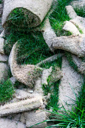 Roll of sod-instant grass por sports, soccer, garden, etc.の写真素材