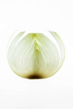 Macro detail of a slice of a fresh onion on white background.Transparency.の写真素材