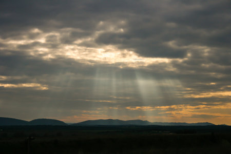 Landscape, sunny dawn in a field. Outdoors