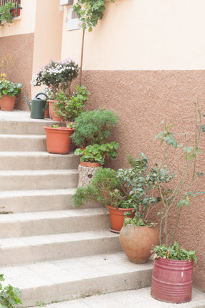 Colorful flower pot decorate on staircase, exterior design.の写真素材